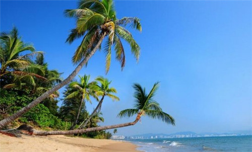 东方翔烨乒乓球教育