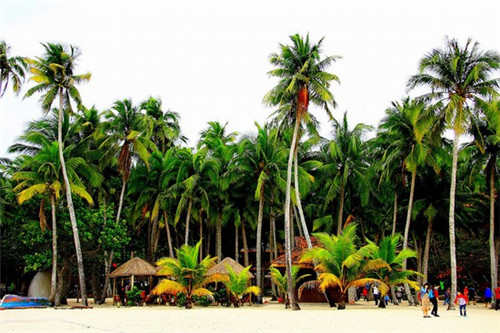 瑶族药浴加盟费多少