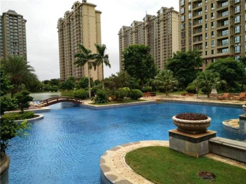 鲁山县创业蛋白粉品牌加盟费用多少钱