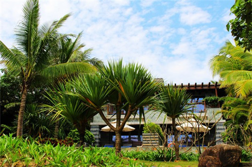 盂县创业哪些洗脸仪加盟品牌生意好