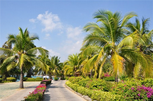 至鹤伴山风景区门口（至鹤伴山风景区门口的公交车）