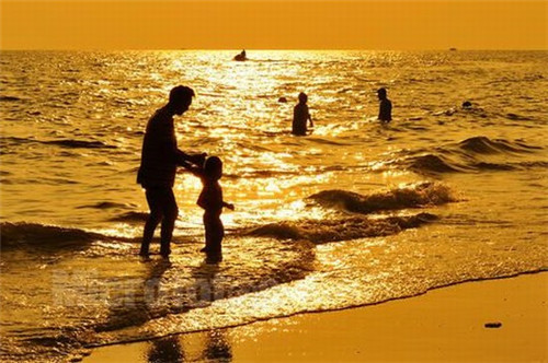 涉案党员通报编号是什么（公安机关通报党员违法）