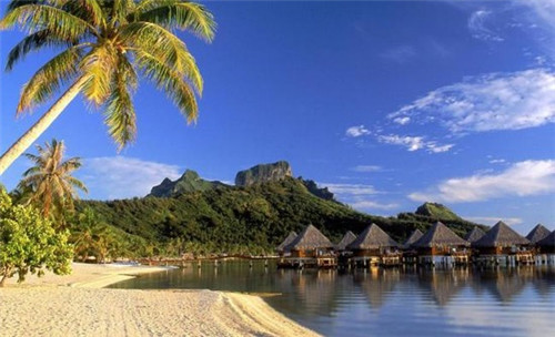 养汪的十大忌讳是什么呢（养狗三大忌讳）